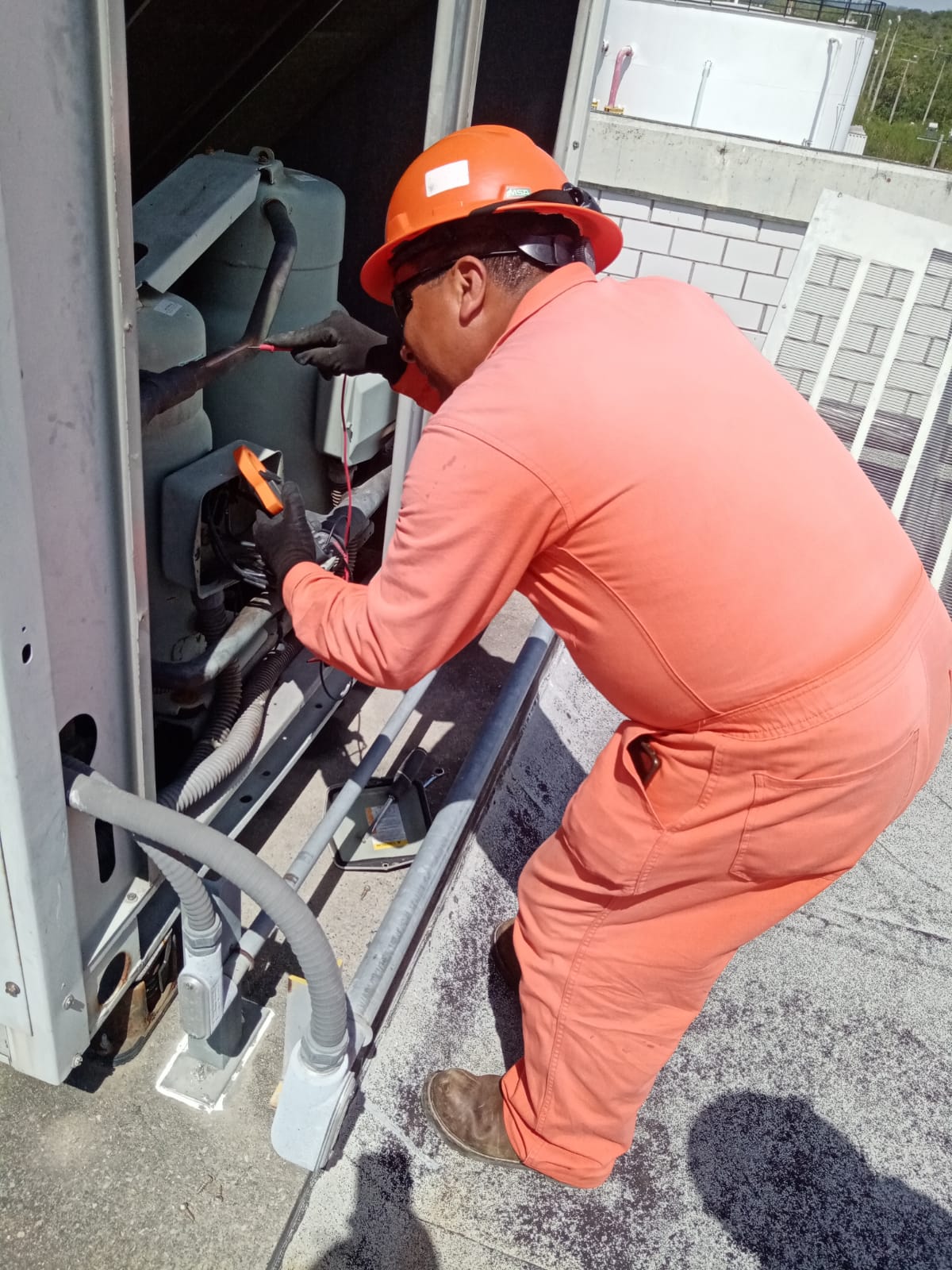 WhatsApp Image 2024-02-01 at 4.55.35 PM (1)